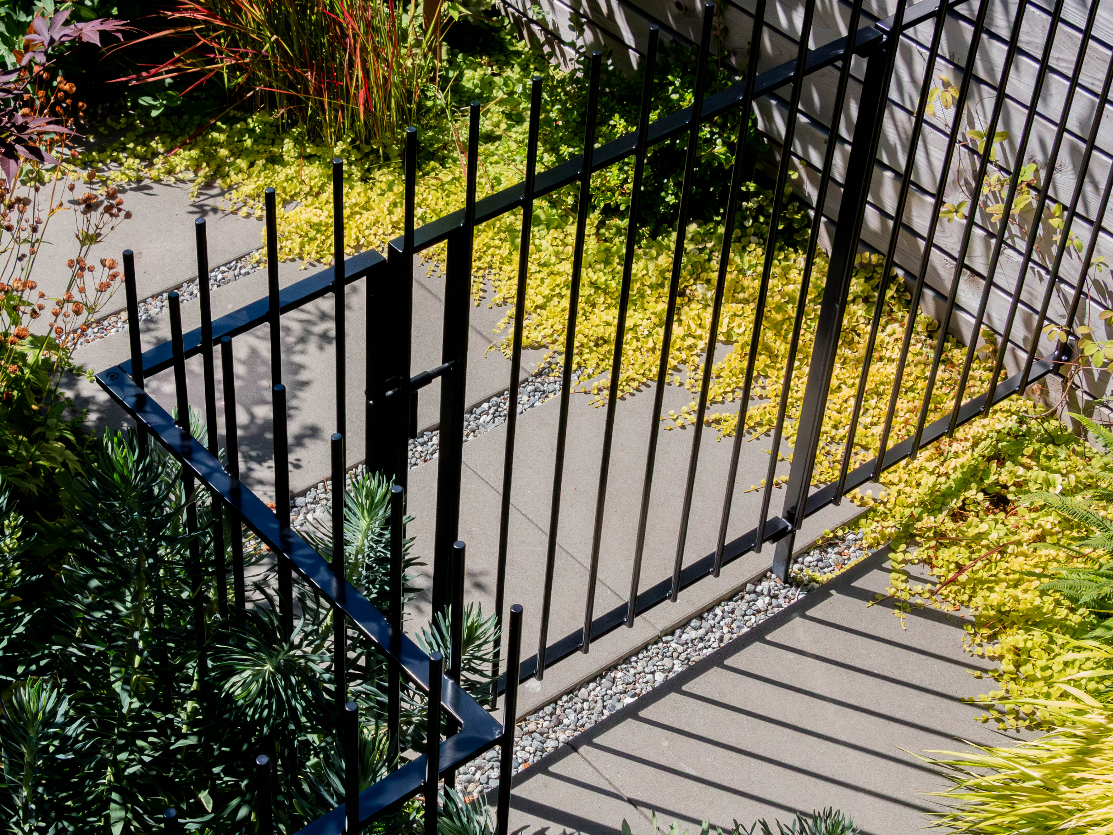 A black metal fence with a gate installed in a landscaped garden pathway, surrounded by green plants and yellow foliage.